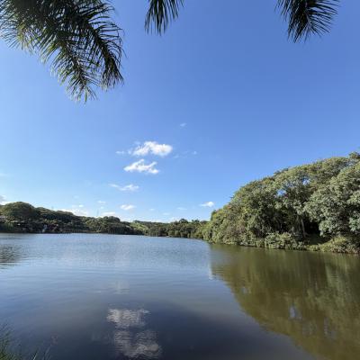 LAGO 01
